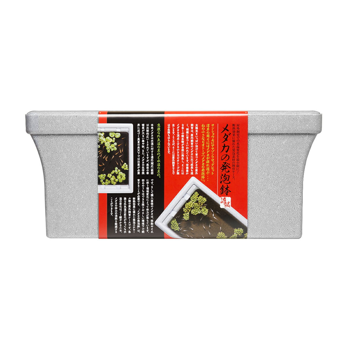 スターペットメダカの発泡鉢 [trmt]