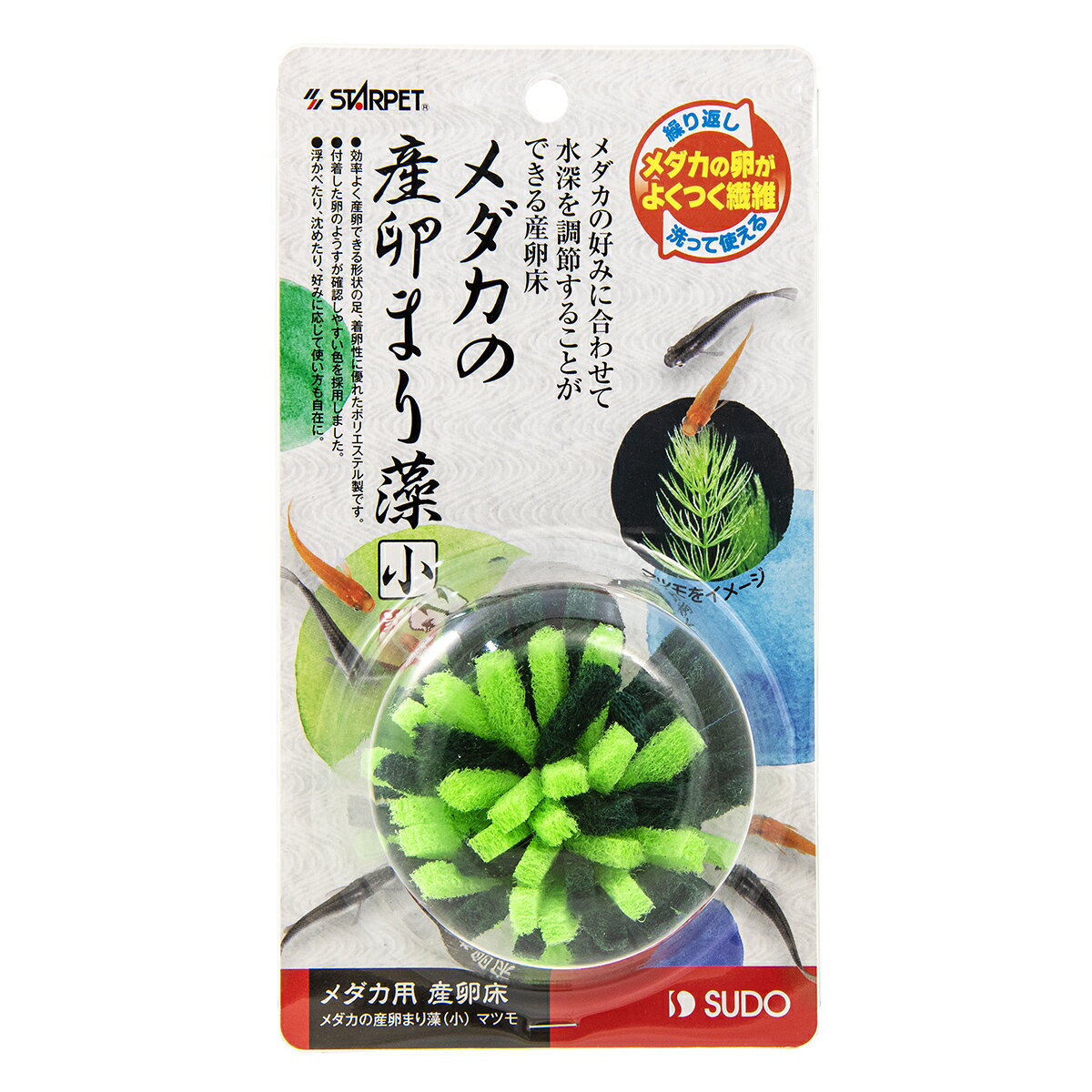 スターペットメダカの産卵まり藻小マツモ [trmt]