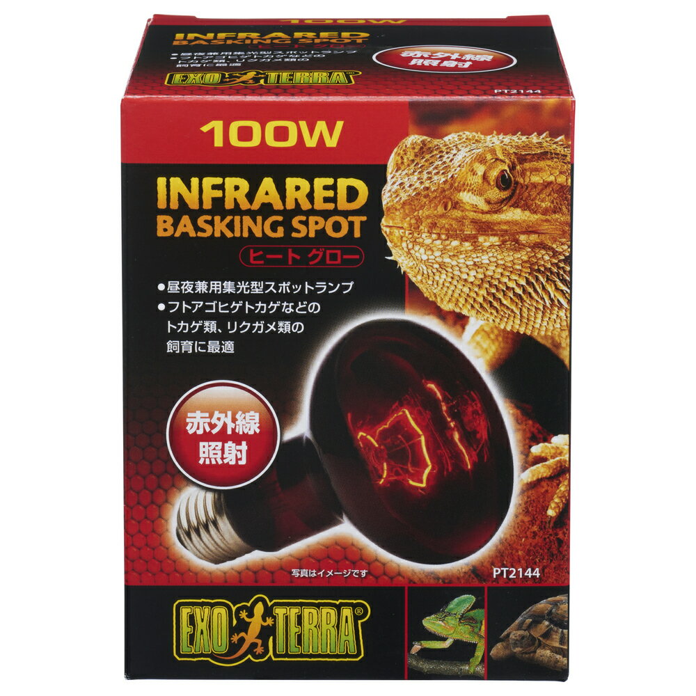 �����å����ҡ��ȥ������ֳ����ȼͥ��ݥåȥ���PT2144100W [trmt]