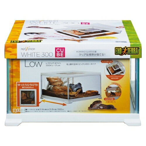 �����å�����ץƥꥢ�ۥ磻��300CUBELow [trmt]