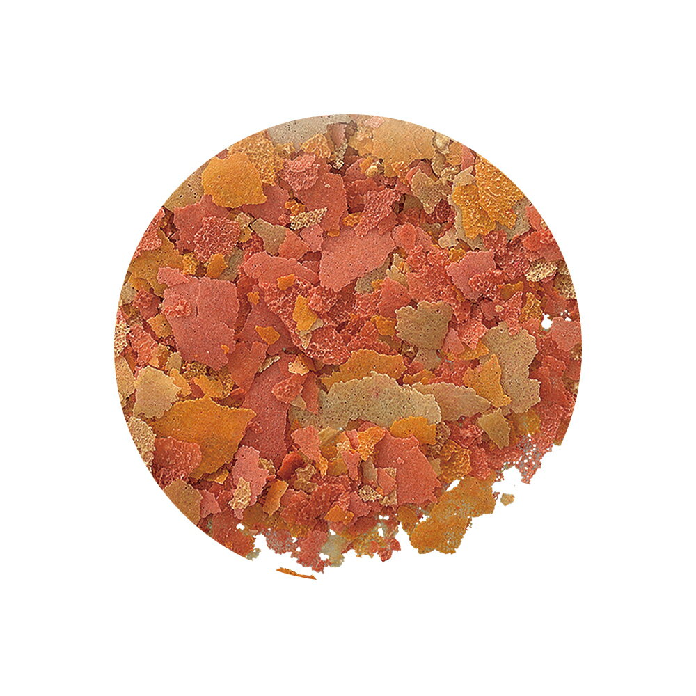 �����å�����������奭�쥤�ե졼��50g [trmt]