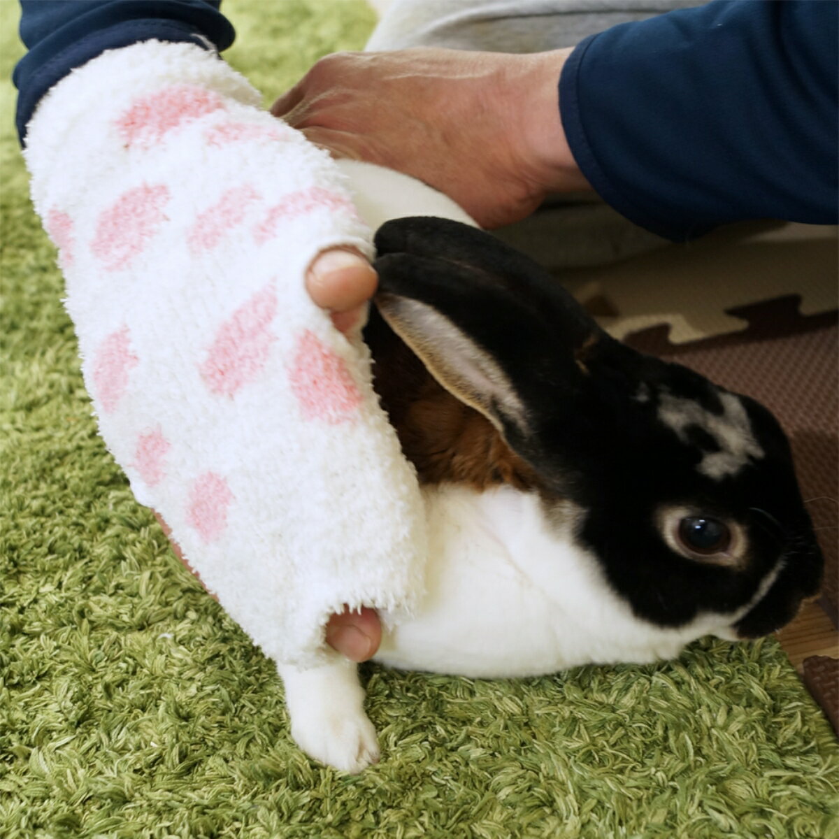 �ߥ˥��˥ޥ󥦥����Υʥǥʥǥ֥饷 [trmt]