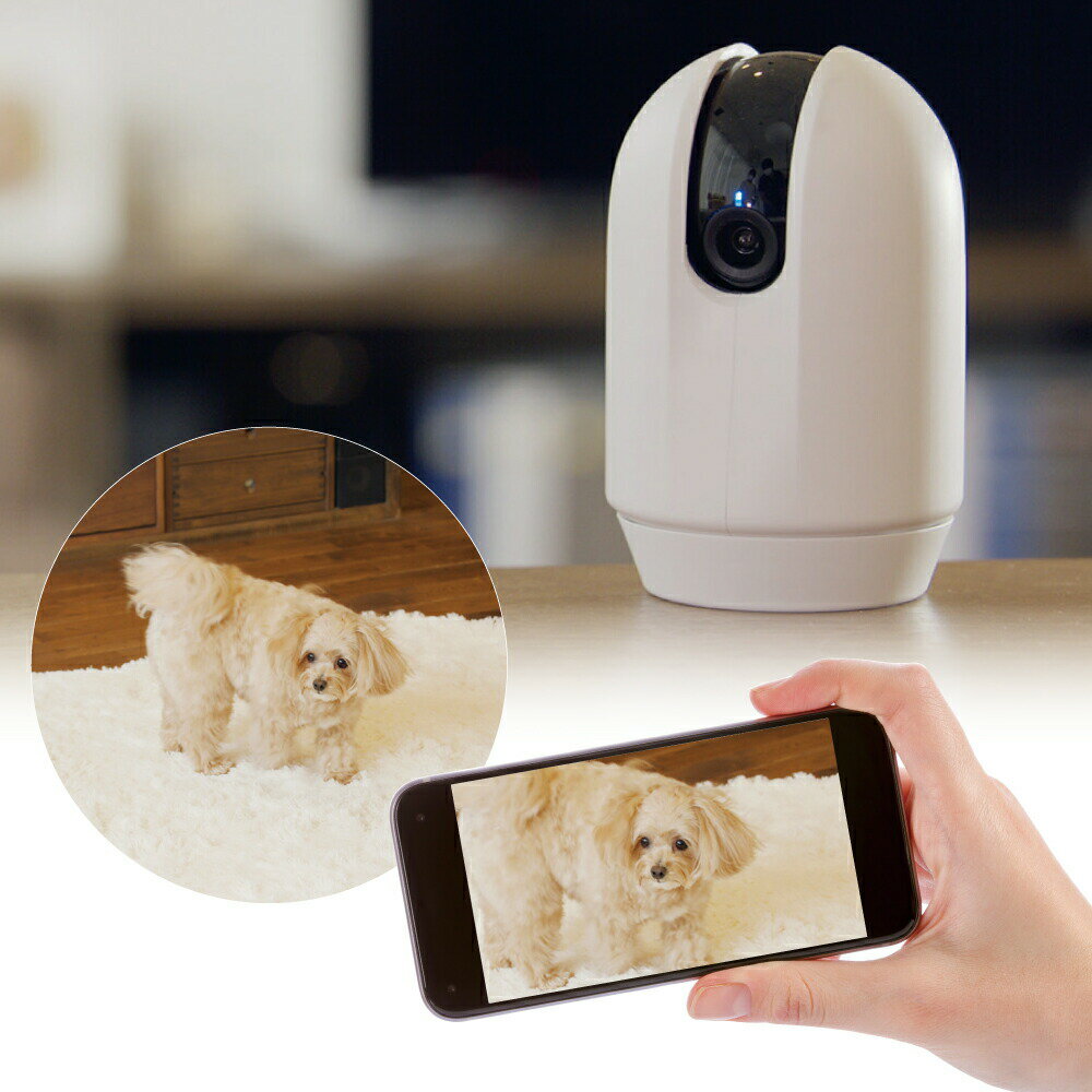 ����ꥫ���LOOK [trmt]