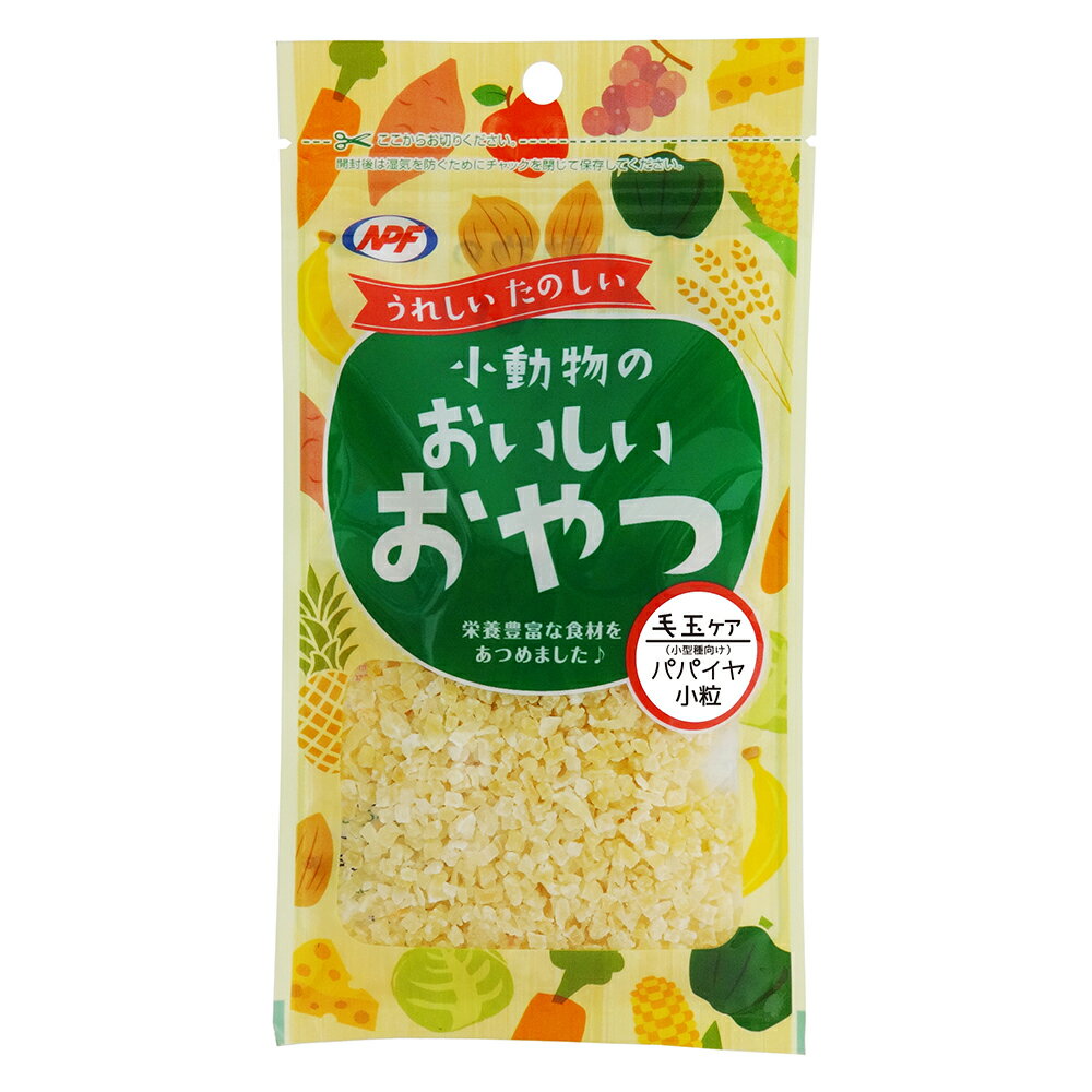 小動物のおいしいおやつパパイヤ（小粒）55g [trmt]