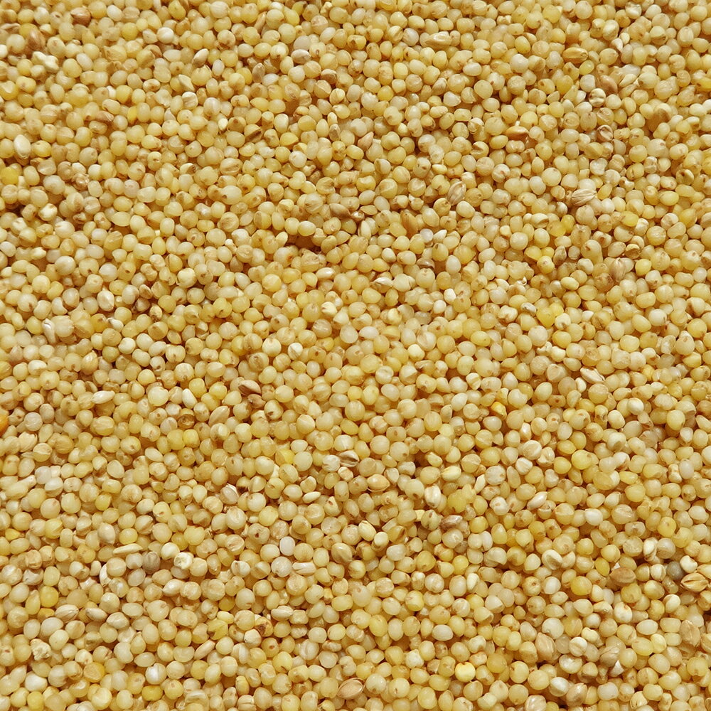 �������뤢���280g [trmt]