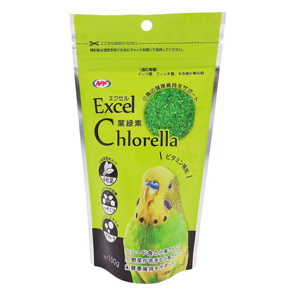 エクセル葉緑素100g [trmt]