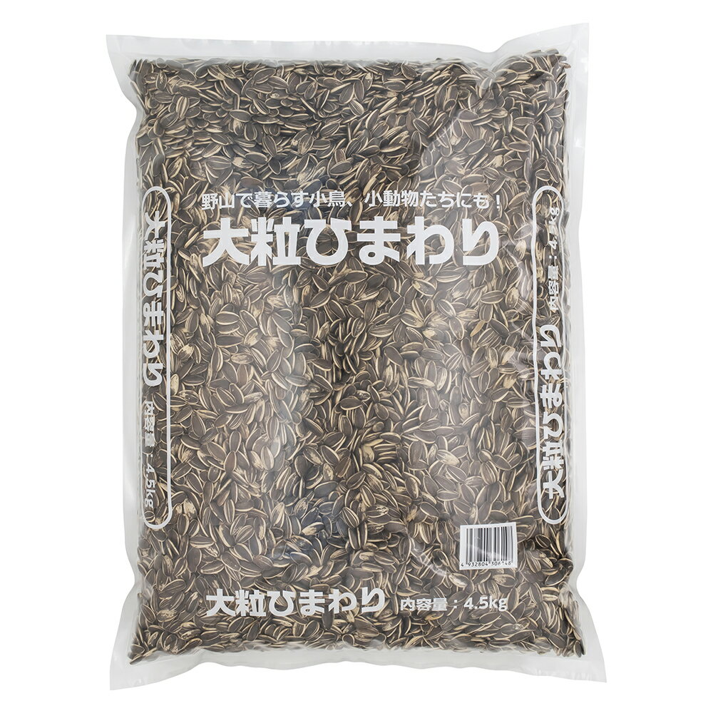大粒ひまわり4.5kg [trmt]