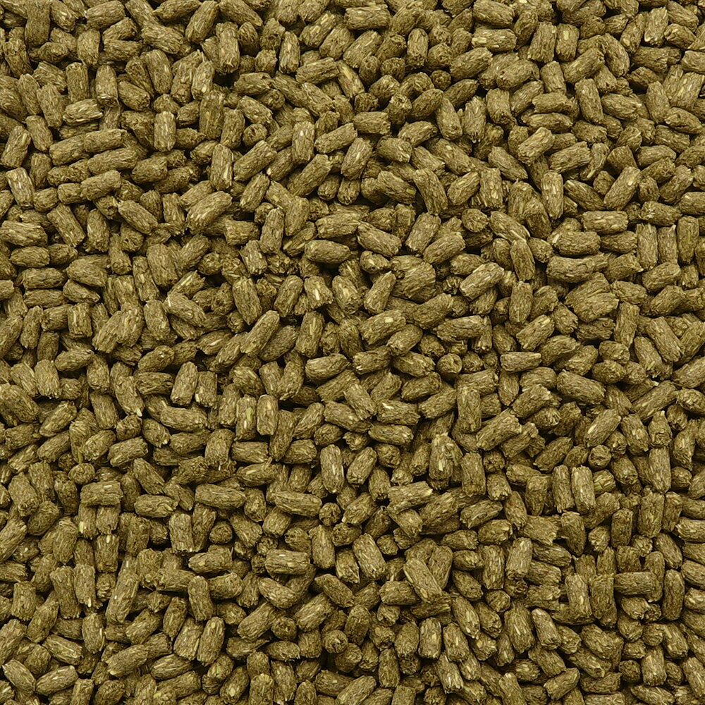 PRORICHTASTE��ӥå�������850g ������ ��ǯ���б� ����� ����ƥ�ե꡼ ��γ �ڥ�å� [trmt]