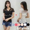 レースTシャツ 黒Tシャツ 白Tシャツ ベージュTシャツ ブルーTシャツ ピンクTシャツ Tシャツ レイヤード インナーTシャツ トップス Tシャツ レース 韓国 花柄 Vネック 春 夏 秋 半袖 可愛い インナー レースネック 刺繍 フェミニン(4)