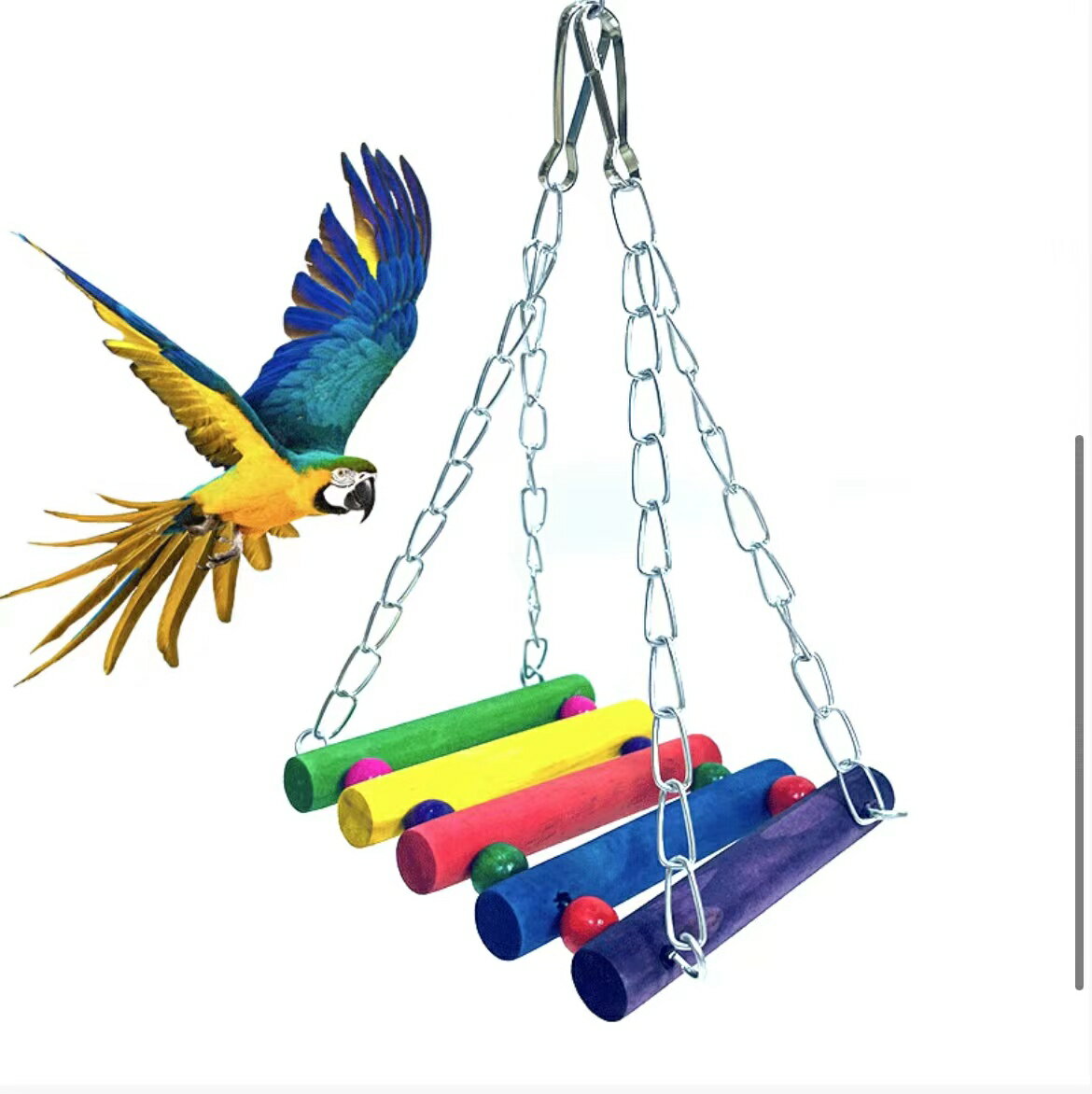 　★商品説明 小型のインコおもちゃブランコ 小型のインコ類や、文鳥などのフィンチに適した天然木を使用したおもちゃです。 嚙んだり舐めたリしても安心な上質木材を使用 鳥日常的な運動やストレス解消におすすめです 飼い主さんと遊び足りないとき鳥自分で様々遊び方できます フックタイプの固定金具揺れても強くて安心、取り付け簡単タイプ サイズ　23cm×7cm ※アソートのため、ベル・カラビナの色は選べません。　★商品説明 小型のインコおもちゃブランコ 小型のインコ類や、文鳥などのフィンチに適した天然木を使用したおもちゃです。 嚙んだり舐めたリしても安心な上質木材を使用 鳥日常的な運動やストレス解消におすすめです 飼い主さんと遊び足りないとき鳥自分で様々遊び方できます フックタイプの固定金具揺れても強くて安心、取り付け簡単タイプ サイズ　23cm×7cm ※アソートのため、ベル・カラビナの色は選べません。