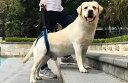 老犬高齢犬シニア 介護用品 後ろ足 ハーネス 足 腰弱い愛犬に踏ん張りサポート 乗車の時 階段登り時