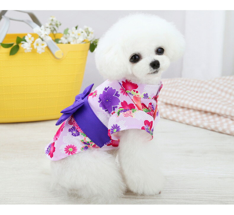 ���ѥɥå���������ʪ��᥹�����ȥ��ԡ����������פ긤�Τ椫���椫�����ԡ����������Ƚ����Ƥդ�����������ǭ���淿�������������פ������������λҥ��ԡ�������������ʪ��᤭��Τ椫���ȥ��ס��ɥ�������������å����ե�����ޥ���������Ƹ���