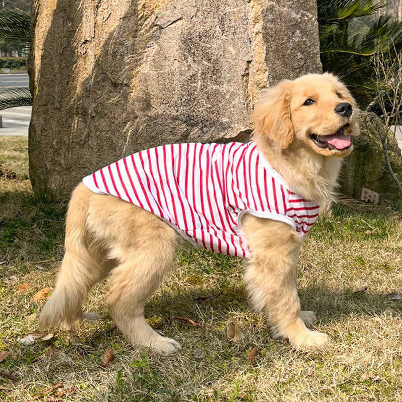 犬洋服犬用シャツ夏シャツ生地薄手紫外線対策冷感服大き目サイズ熱中症対策ひんやり生地春用夏服冷感生地涼しい虫よけ大型犬服、中型犬服　ペット服　ドッグウエア、クール服涼服涼しい夏服
