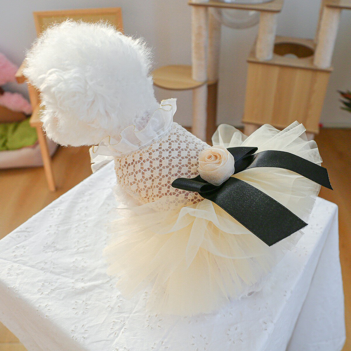 楽天市場】ミニチュアダックス ドレス（ドッグウェア｜犬用品