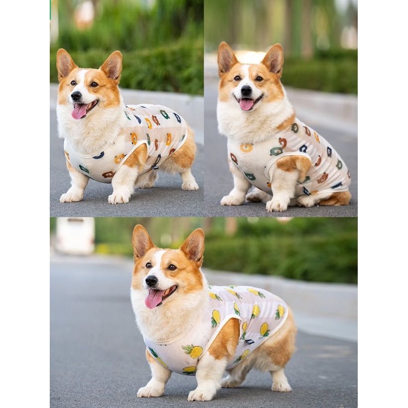 犬服犬の服大型犬服中型犬服小型犬服トイプードル服柴犬服ミニチュアダックス服