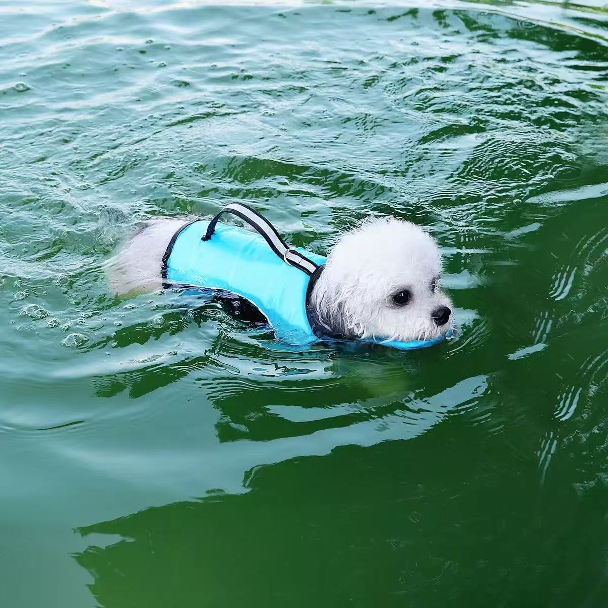 �������饤�ե��㥱�åȱˤ��饤�ե��㥱�å��淿���饤�ե��㥱�å��緿���饤�ե��㥱�å�