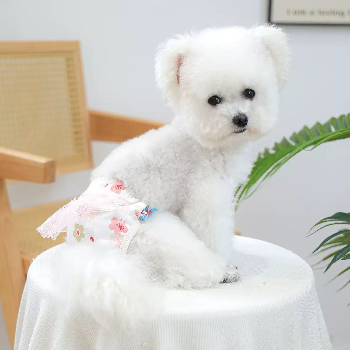 �����������ѥ��û�ѥ󤪤�ĥ��С����λҥ�����󾮷����ѥ�ĥȥ��ס��ɥ�����������ޥ��������