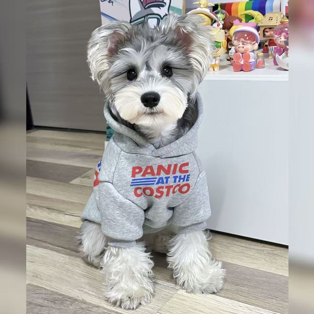 �����������⥳�⥳���ѡ�����������淿�����������淿������������ǭ���ȥ��ס��ɥ���