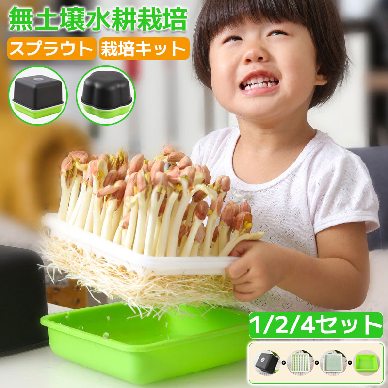 スプラウト 栽培キット 育苗ポット も 四角形 花形 1点 2点 4点