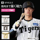 アングル e.モデル01 ネックレスANGLE 野球選手 スポーツ プラチナ ブラック ピュアゴールド 新色 肩コリ おしゃれ 磁気ネックレス 医療機器 肩こり解消 血行改善 メンズ レディース 誕生日 母の日