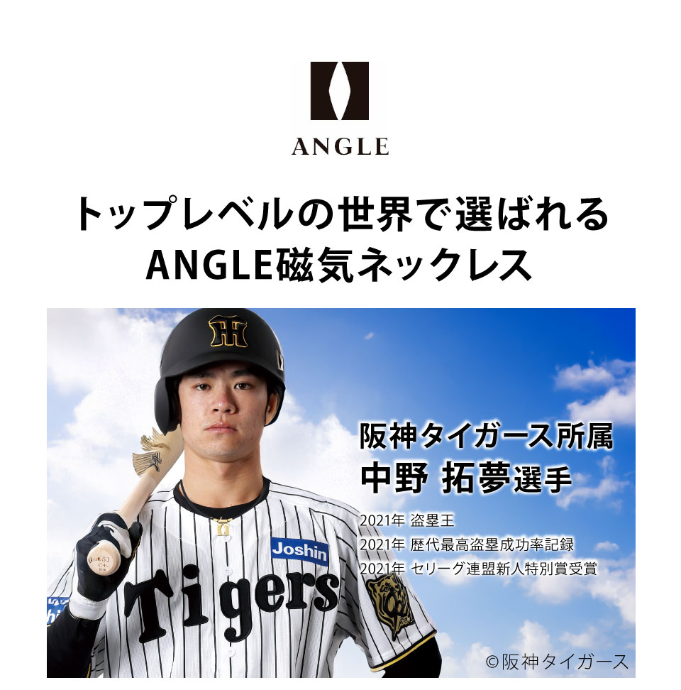 【ポイント10倍】【正規販売店】★ 楽天1位 ★ アングル e.モデル01 ネックレス【送料無料】ANGLE 野球選手 スポーツ プラチナ ブラック ピュアゴールド 肩コリ おしゃれ 磁気ネックレス 医療機器 肩こり解消 血行改善 メンズ レディース 誕生日 母の日 3