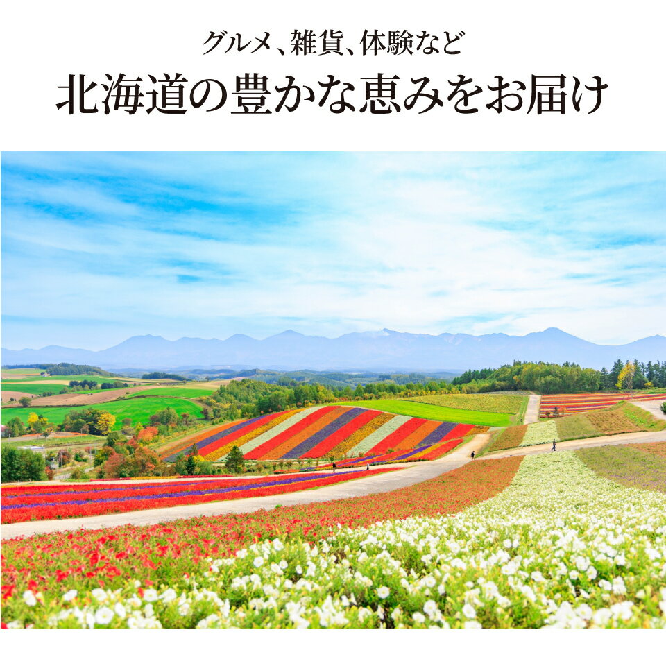 カタログギフト 北海道のおくりもの HDO-Lコース【送料無料】ハーモニック グルメ 体験 グルメカタログ お取り寄せ ギフト スイーツ 商品券 グルメ券 出産内祝い 結婚内祝い 結婚祝い お返し 内祝い 香典返し 快気祝い プレゼント プチギフト ホワイトデー お返し