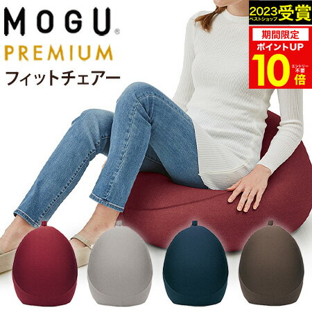 MOGU（モグ）プレミアム フィットチェアーMOGU正規品 MOGUパウダービーズクッション【送料無料】在宅勤務 在宅ワーク リモートワーク大きいサイズのクッション 実用的 誕生日 人気 プレゼント 父の日 御中元 お中元