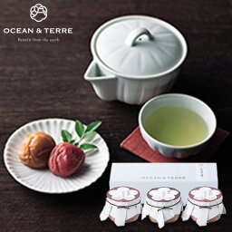 OCEAN&TERRE オーシャンテール Premium 紀州南高梅セットD ギフトセット☆食べ物 詰め合わせ 誕生日 出産内祝い 結婚内祝い 結婚祝い 引き出物 お祝い お返し 快気祝い プレゼント おしゃれ お供え 御供 母の日