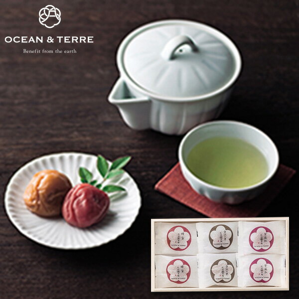OCEAN&TERRE オーシャンテール Premium 紀州南高梅 6粒 木箱入り ギフトセット☆食べ物 詰め合わせ 誕生日 出産内祝い 結婚内祝い 出産祝い 結婚祝い 引き出物 お祝い お返し 香典返し 快気祝い プレゼント お供え 母の日