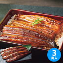 お中元 大森淡水 国産うなぎ蒲焼(長焼)(3尾)【送料無料】【冷凍】【直送】 ギフトセット☆食べ物 鰻 国産 お取り寄せグルメ プレゼント 人気 御中元 初盆