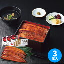 お中元 うなぎ問屋の大五蒲焼(3尾)【送料無料】【冷凍】【直送】 ギフトセット☆食べ物 鰻 国産 お取り寄せグルメ プレゼント 人気 御中元 初盆
