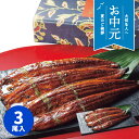 【お中元専用ギフト】大森淡水 九州産 特大うなぎ蒲焼(3尾)【送料無料】【冷凍】【直送】 ギフトセット☆食べ物 お取り寄せグルメ プレゼント 御中元 お中元 初...