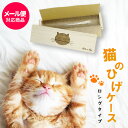 猫のひげケース(ロングタイプ)桐箱 名前シール付 ビーグラッド【メール便送料無料】ギフト ねこのひげ ひげ入れ 木箱 ひげケース ネコ バレンタイン プレゼント 誕生日 人気 出産内祝い 結婚内祝い 出産祝い 結婚祝い 引き出物 お祝い お返し 香典返し 快気祝