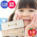 乳歯ケース りんご 高級桐天然木使用 桐箱 ビーグラッド【メール便送料無料】ティースケース ギフト 乳歯入れ 日本製 国産 記念 成長 誕生日 かわいい 出産内...