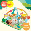 くまのプーさん てあそびいっぱい!おうちにへんしんジム【送料無料】 ギフトセット☆ おもちゃ まご 孫 出産祝い 男の子 女の子 ギフトセット 誕生日 ベビー ギフト 贈り物 出産お祝い 御祝 子供 かわいい 男 女 赤ちゃん 孫の日 まごの日 成人式