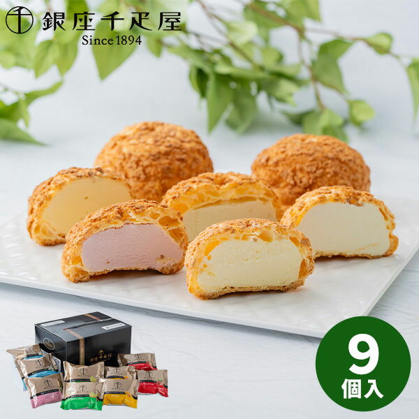 【直送】銀座千疋屋 銀座プレミアムシューアイス PGS-506【送料無料】 ギフトセット 誕生日 ギフト スイーツ 食べ物 洋菓子 個包装 詰め合わせ 出産内祝い 結婚内祝い お祝い 香典返し 快気祝い 内祝い 2026 アイスクリーム フルーツ お菓子 プチギフト