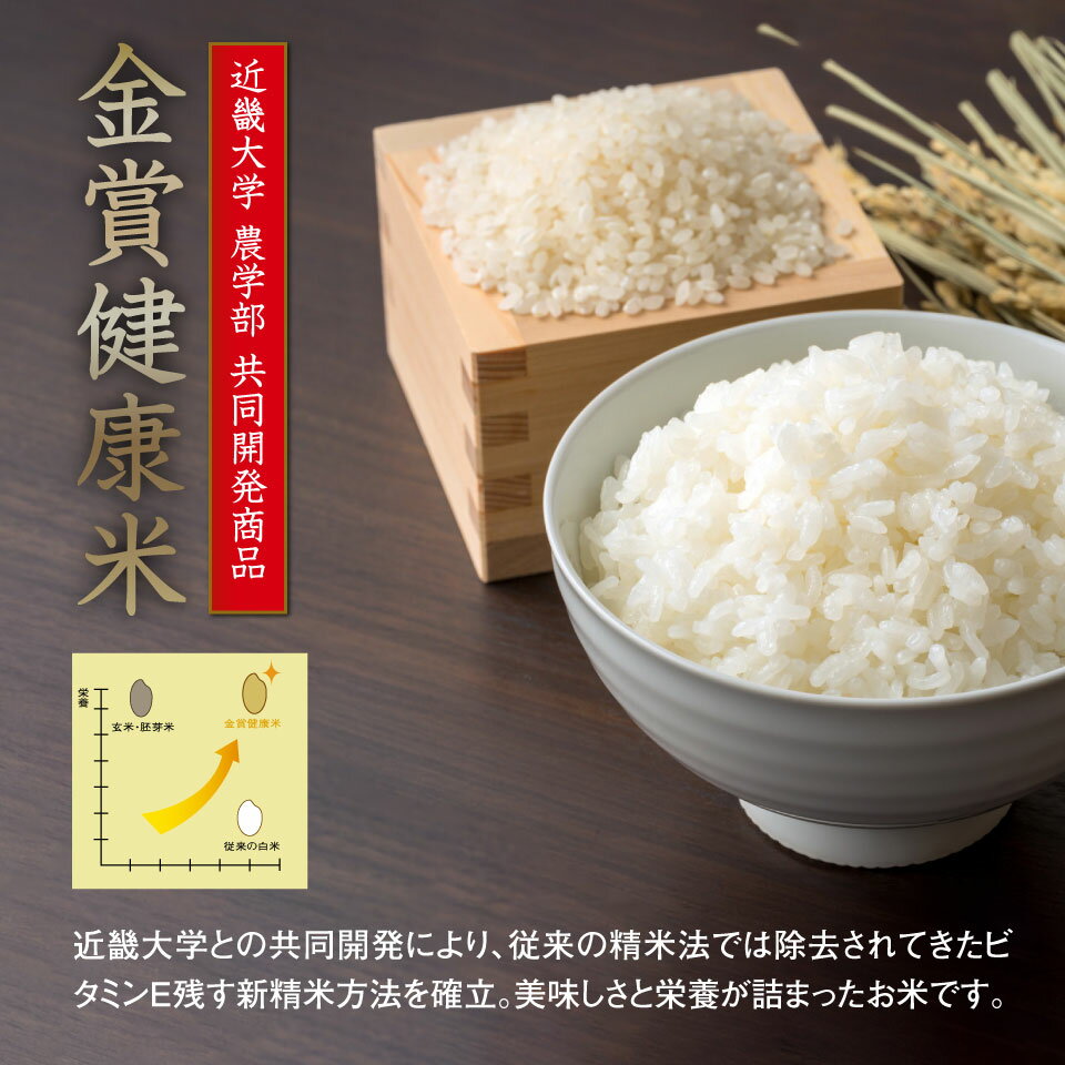 ���� ���ե� ���� ������ˤ䤵������ �ֶ�޷��ơץ��եȥ��å� FDRR-0604 �ͤ��碌 ���ڻ� ��� ���� �͵� �������� ���� �֥����� ���Ϥ� ���Ϥ�ѥå� �ѥå����Ϥ� ��ȥ�Ȥ��Ϥ� ��ʪ���� ���� ���� �㥫���꡼ �����