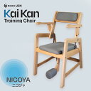 【送料無料】KaiKan 快康トレーニングチェア NICOYA 二コジャ トレーニング椅子 運動台 腰痛予防 背筋 腹筋 足 腰 高齢者 運動不足 サポートチェ...