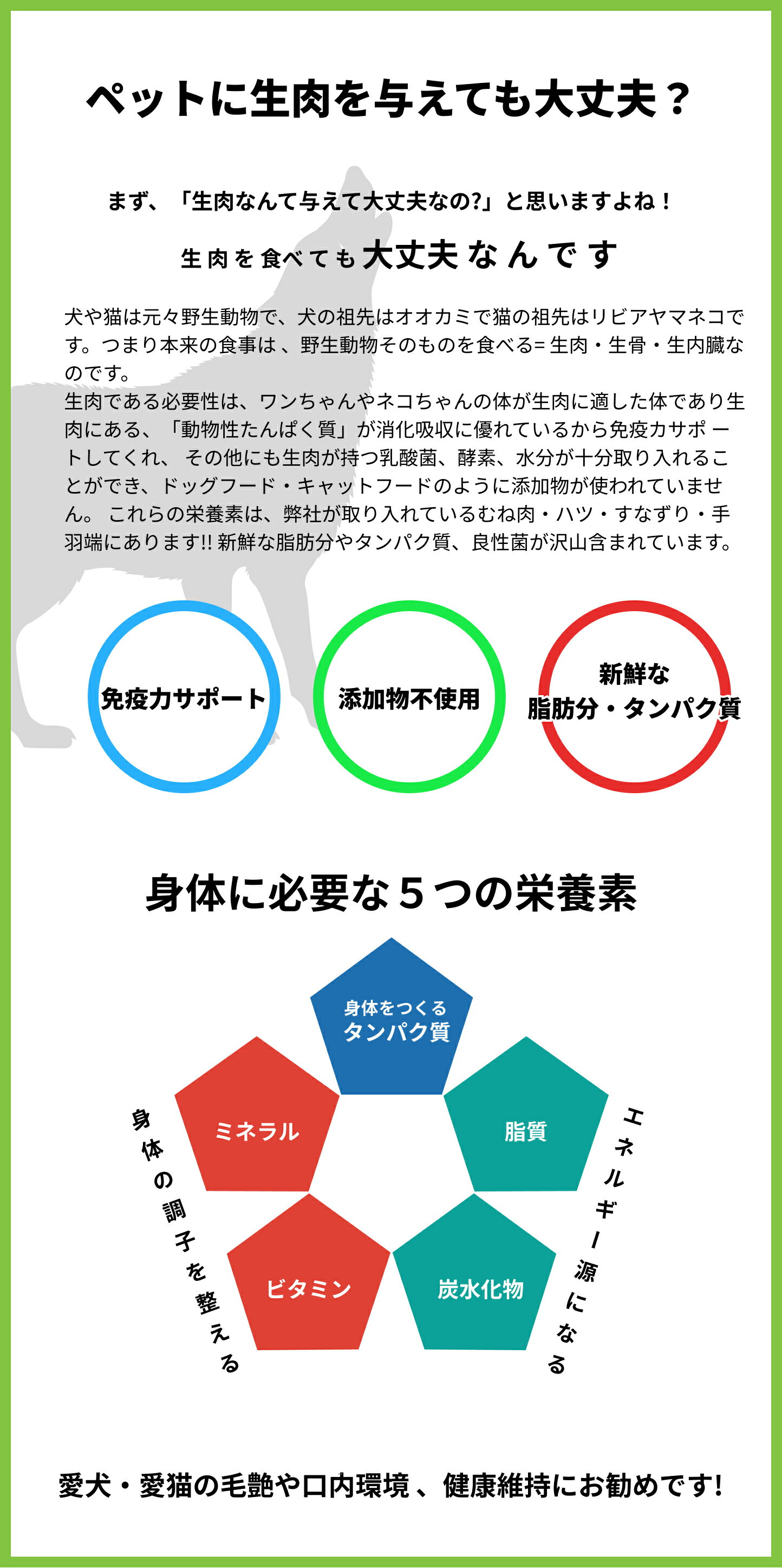 わんナチュラット、うまナチュラット、鶏ネック (お試しセット) 初回限定 犬のご飯...