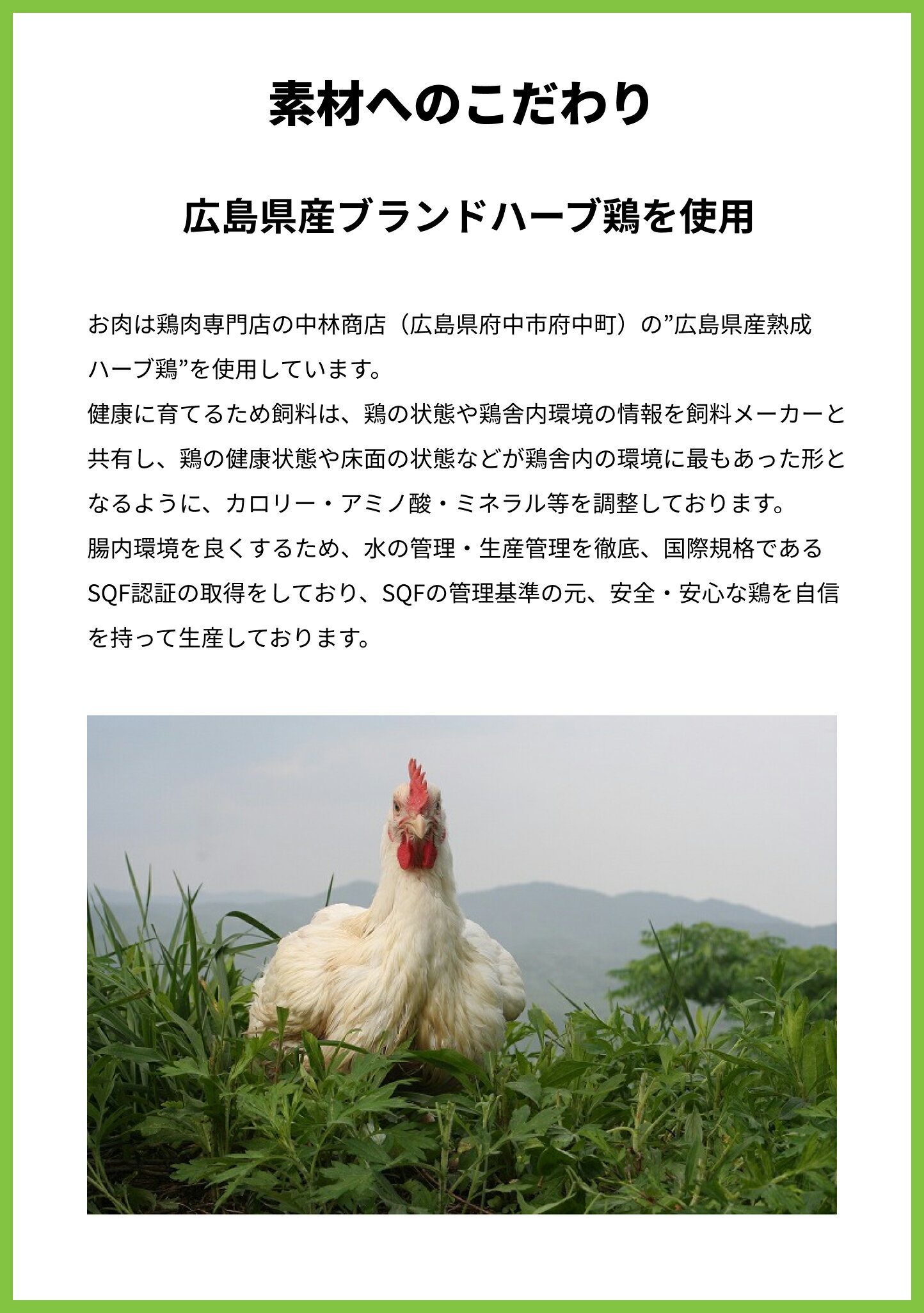 わんナチュラット、うまナチュラット、鶏ネック (お試しセット) 初回限定 犬のご飯...