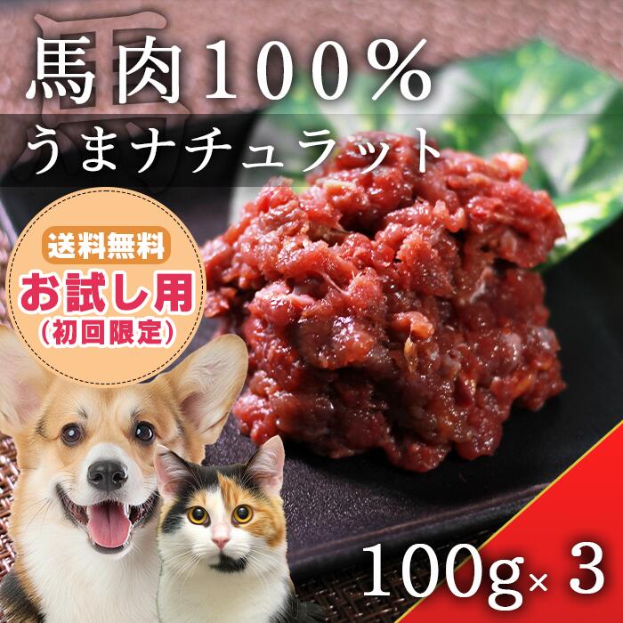 100 ޥʥå 100g3 ʽ