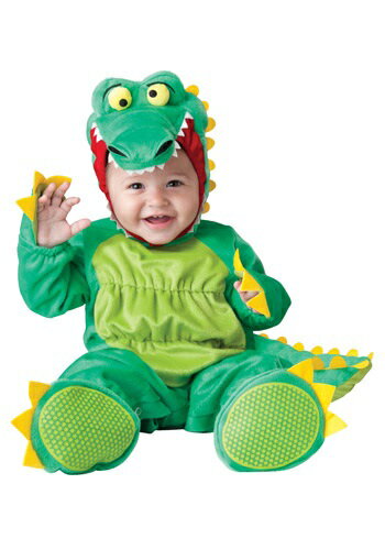 Goofy Gator 塼 ϥ Ҥɤ ץ   ɤ ٥ Ҥɤ ѡƥ ϥ طݲ ...