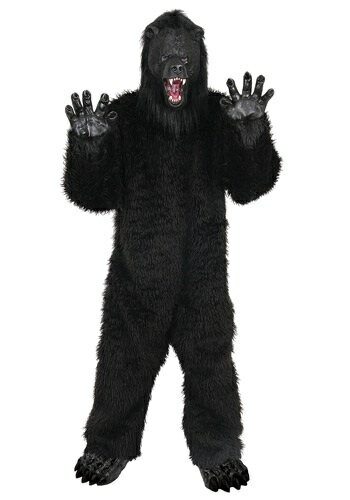  Grizzly Bear 塼 ϥ  ץ     ٥ ѡƥ ϥ ...