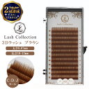 【楽天2冠達成】 Lash Collection ラッシ