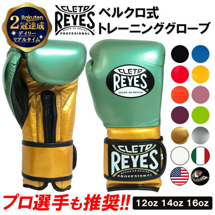 【楽天2冠達成】REYES レイジェス 16 