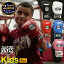 【 楽天2冠達成 】 REYES レイジェス 