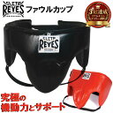 REYES レイジェス ボクシング ファウルカップ 本革 公式 | ファールカップ プロテクター 保護 サポーター ガード 格闘技 総合格闘技 空手 キックボクシング K-1 ムエタイ メキシコ製 ギフト