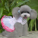 ペット 服 犬 女の子 ワンピース チュチュ ドッグウェア ドット | 犬服 ドッグウエア 小型犬 大型犬 中型犬 ドレス つなぎ 洋服 お洒落 かわいい プリ...