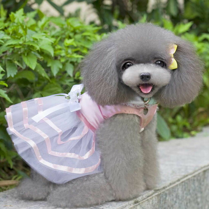 犬服 チュチュ風ワンピース チュチュドレス ドッグウェア /犬 犬用品 小型犬 チュチュ ワンピース ドレス プリンセス 猫 Type #5