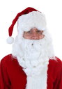 デラックス Santa Claus ウィッグ and Beard Set クリスマス ハロウィン コスプレ 衣装 仮装 小道具 おもしろい イベント パーティ ハロウィーン 学芸会